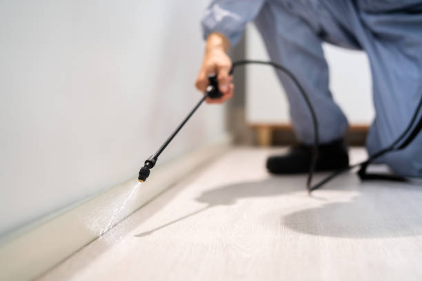 Bed Bug Pre-Treatment Preparation Assessment in Houston