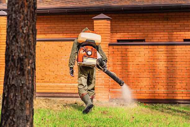 Bed Bug Clearance Verification and Documentation in Houston